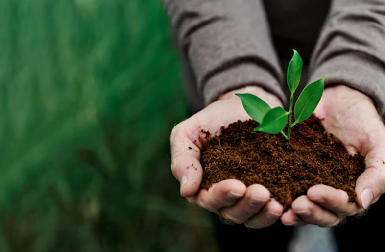 Sustainability Built Into Every Step