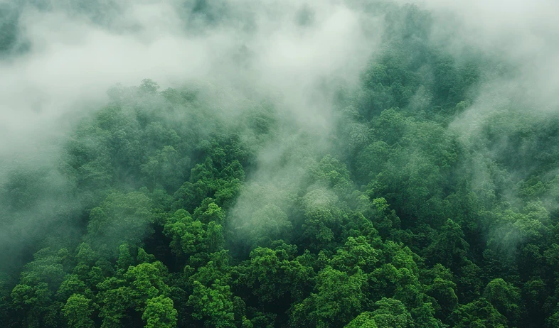 Why Environmental Responsibility Matters