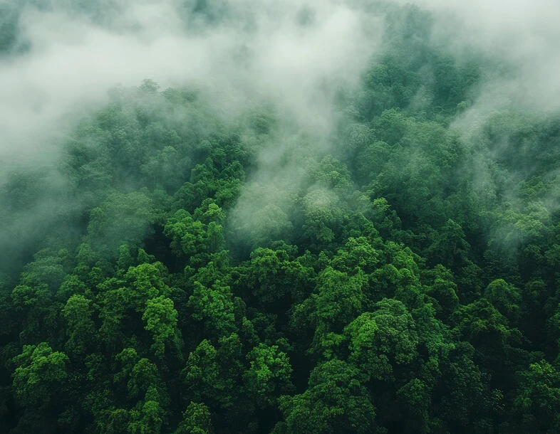 Why Sustainability Matters To Your Business