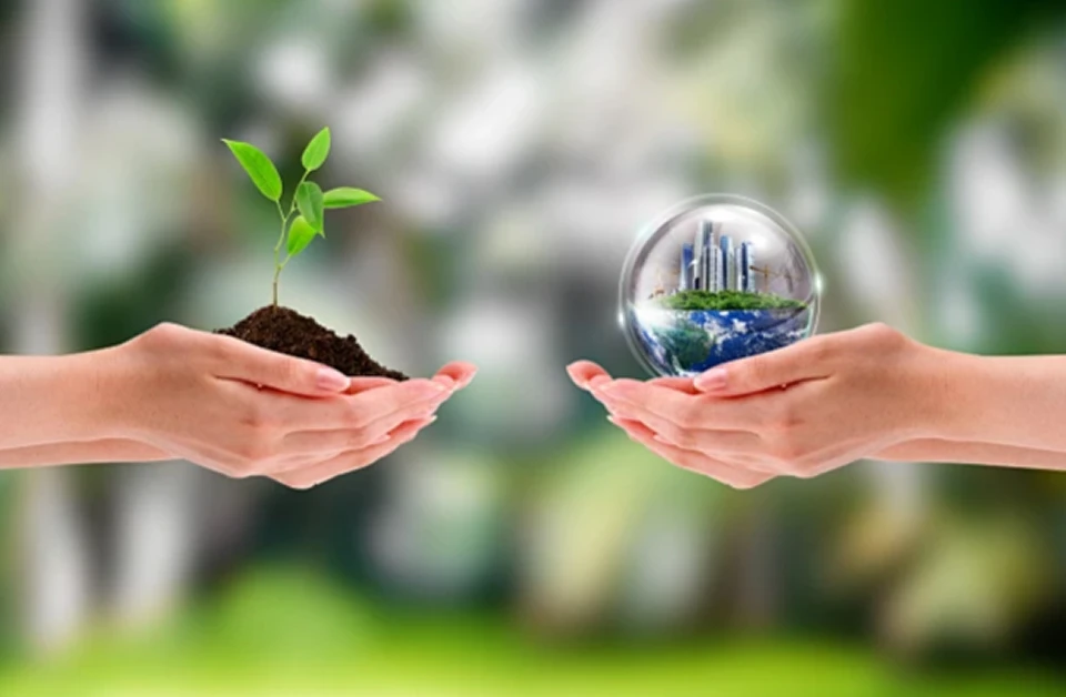 What You Gain: Risk‑Free Sourcing