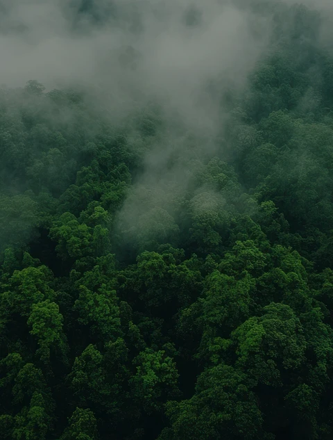 Environmental Responsibility