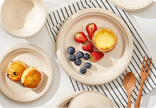 Plant Fiber Tableware